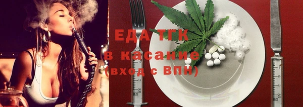 хмурый Аркадак