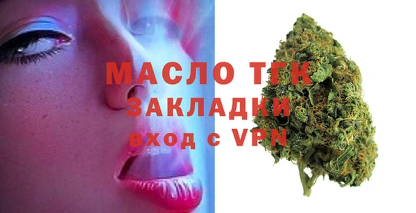 хмурый Аркадак