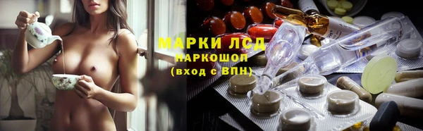 хмурый Аркадак