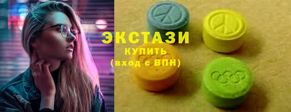 хмурый Аркадак