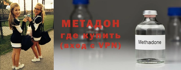 хмурый Аркадак