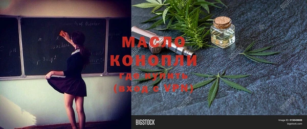 хмурый Аркадак