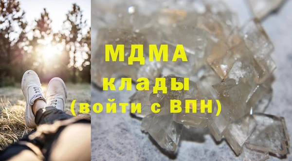 хмурый Аркадак