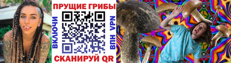 продажа наркотиков Бабаево Псилоцибиновые грибы Psilocybe