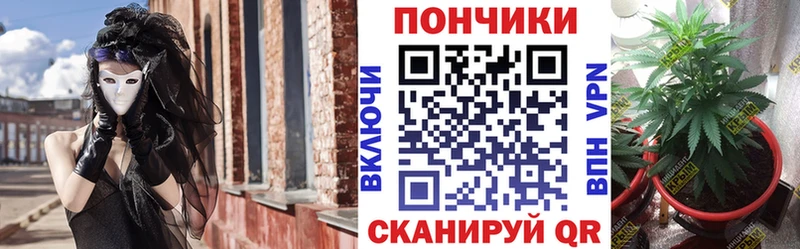 дарк нет официальный сайт  Бабаево  Каннабис семена  МЕГА зеркало 